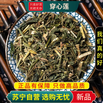 穿心莲100克干货正品春莲秋柳一见喜榄核莲苦胆草金香草金耳钩印度草