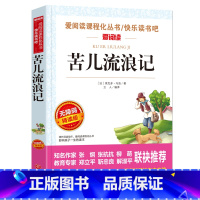 [选4本35元]苦儿流浪记 [正版]书海底两万里小学版原著完整版 三四年级课外书阅读文学经典书目五六课外阅读书籍青少年读