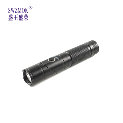 盛王盛荣 LED 转角电筒