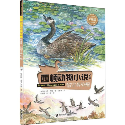 醉染图书留守的公雁9787544859875