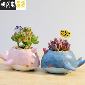 三维工匠zakka田园多肉花盆可爱卡通动物花盆鲸鱼花园派对创意小花盆套 鲸鱼一对+乙女心+绮罗双头+花插配土+铺花盆容器