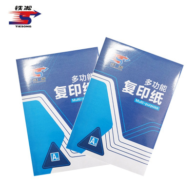 铁凇 静电复印纸 80克A4 5包 箱
