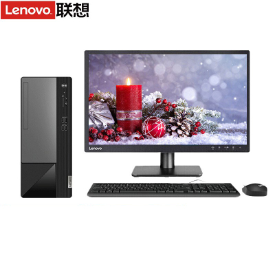  联想(Lenovo)扬天M460 商用台式电脑整机(i7-13700 32G 1T+512G固态 Win11)21.45英寸显示器 定制