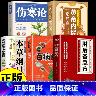 [全5册]肘后备急方中医经典合集套装 [正版]肘后备急方白话文葛洪全书全本校注与研究古代急救方剂书中国临床急救手册中医书
