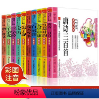 中华蒙学套装[10册] [正版]国学经典书籍 全套10册彩图注音版 唐诗三百首成语故事三字经千字文百家姓论语弟子规中华蒙