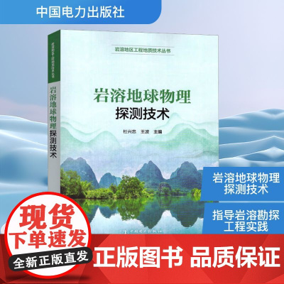 岩溶地球物理探测技术 杜兴忠,王波 编 冶金工业专业科技 正版图书籍 中国电力出版社
