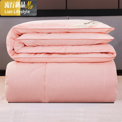 桑丝被子冬被春秋冬季双人棉被芯6/8/10斤冬天加厚保暖秋冬四季 三维工匠