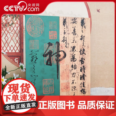 [央视网]看见中国书法 看见中国画 赠冰箱贴帆布包金属书签收藏票 体会中国书法艺术之美和艺术之妙 收录众多经典中国绘画作