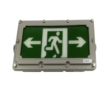 鼎晟丰(DSF)DSF-AJH02 3W AC220V 400*500mm 无机蓄光自发光安全出口指示灯 标志灯(计价单位:个)