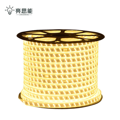 亮思能 LED户外防水灯带 低压灯带 LSN-XOL 米(120珠白光)