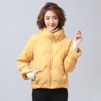 迪鲁奥(DILUAO)棉服新款加厚韩版休闲女短款妈妈冬季小外套
