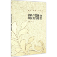 音像影视作品里的中国法治进程陈笑春 等 著