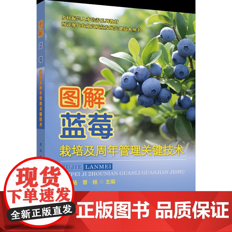 正版 图解蓝莓栽培及周年管理关键技术 董畅 覃杨主编 中国农业大学出版社店9787565531729
