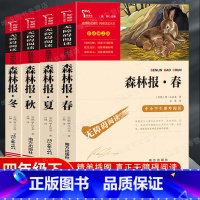森林报春夏秋冬[全套4册] [正版]森林报春夏秋冬全四册 四年级下册必读的课外书阅读经典书目小学生二三4五六上比安基著动