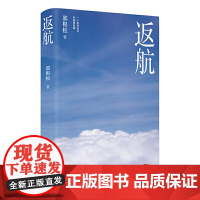 返航(不打官腔的退伍飞行员,从零开始回归地方找工作) 邵根松 广东人民出版社 正版书籍