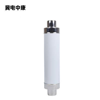 冀电中康 限流熔断器 XRNT-12/10A 只