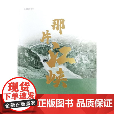 那片江峡 王鸿鹏 云南人民出版社 正版书籍