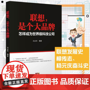 联想 是个大品牌 怎样成为世界级科技公司 现代企业战略管理制度导力团队企业经营管理方面的书籍企业运营企业发展历程书
