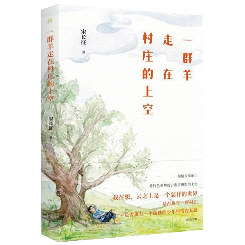 音像一群羊走在村庄的上空宋长征