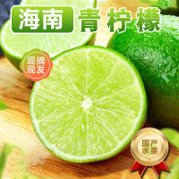 [西沛生鲜]海南香水青柠檬 净重4.5斤 新鲜应当季水果香水黄鲜柠檬奶茶店专用 坏果包赔