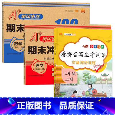 [3册]看拼音写生字词语+小学语数试卷 小学二年级 [正版]看拼音写词语二年级上册人教版小学语文字词同步训练拼音拼读写汉