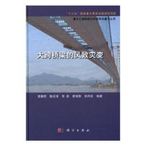 音像大跨桥梁的风致灾变葛耀君[等]编著
