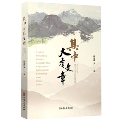 [N]其中大有文章-9787520535359