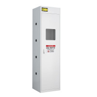 戴劲 气瓶柜防爆柜易燃气体存储柜易爆气体存放柜安全柜 单瓶无报警