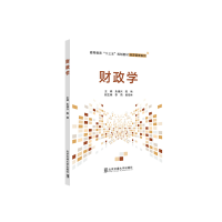 音像财政学朱福兴 著