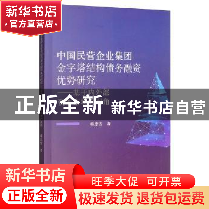 正版 中国民营企业集团金字塔结构债务融资优势研究:基于内外部资