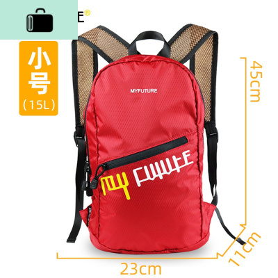 轻薄双肩包女男士轻便出游户外旅行包尼龙皮肤背包大容量可折叠包NEW LAKE 红色(小号)