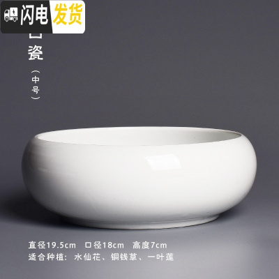 三维工匠简约大号水培花盆创意陶瓷多肉拼盘水养水仙铜钱一叶莲盆栽盆器 [白瓷中号] 大花盆容器