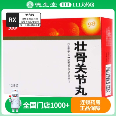 999 壮骨关节丸 6g*10袋/盒