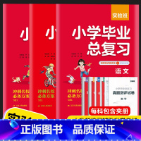 [单本]春雨 实验班小学毕业总复习 语文 小学升初中 [正版]2023版春雨实验班语文数学英语六年级上册下册小学毕业小升