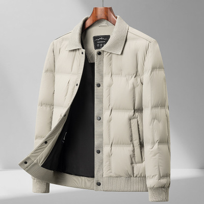 新国标90绒羽绒服男式轻奢翻领轻薄秋羽绒服男青年潮流简约羽绒服