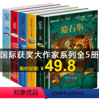 [正版]学校国际获奖大作家系列5册魔石心/赶象人/缤纷羽毛/银色的小驴/等待魔法 8-12岁儿童文学故事书中小学生课外