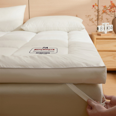 学生宿舍床垫家用酒店榻榻米软垫加厚垫子垫被单双人褥子防滑