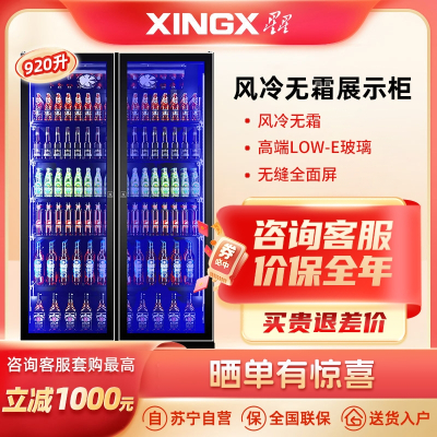 星星(XINGX)IVGC-2D-6520W啤酒商用冷藏展示柜920升双门立式保鲜冷柜玻璃门冰柜酒吧用全屏柜大两门