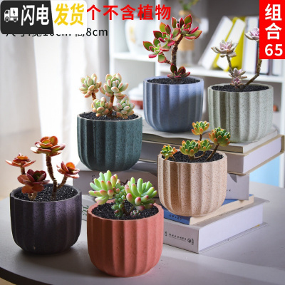 三维工匠多肉花盆套装组合创意个性简约植物盆器室内肉肉花盆批发 如图款式10 中等花盆容器