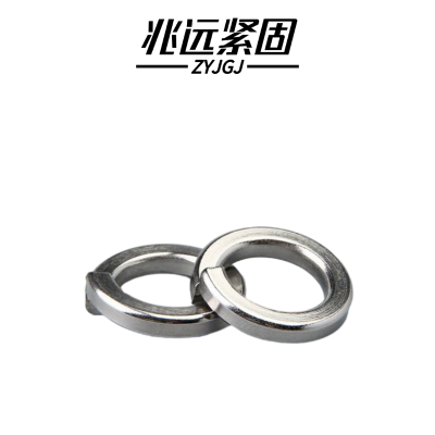 兆远紧固 304不锈钢弹簧垫圈(个)(φ20)