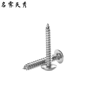 名霁天秀 4.8级不锈钢十字槽半圆头自攻螺钉 M3.9*19mm 个