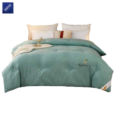 安居先森抗菌摩卡芙牛奶大豆纤维被加厚冬款200*230cm D2119