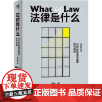 法律是什么:20世纪英美法理学批判阅读刘星 著法学理论重庆出版社凤凰店
