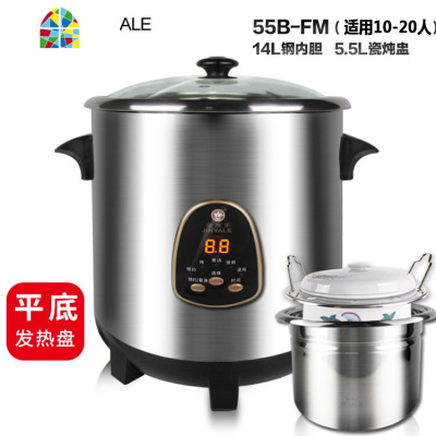 电炖煲不锈钢炖锅隔水电炖盅煮粥煲汤锅全自动家用商用 FENGHOU 6升多功能+无炖盅(3-5人)