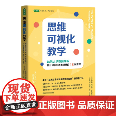 思维可视化教学:哈佛大学教育学院设计可视化思维课堂的18
