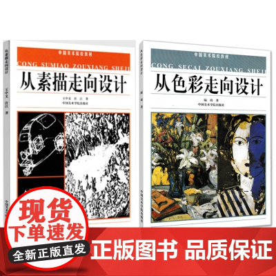 从素描走向设计 王中义 许江+从色彩走向设计 陆琦(中国美术院校教材)中国美术学院出版社9787810199773+97
