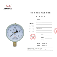 红旗 压力表(带检定证书) Y100 1.6MPA 其他压力值需备注 块