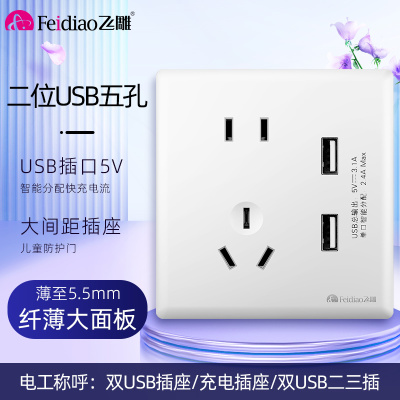 飞雕(FEIDIAO)超薄大板 开关插座格韵系列86型带开关插座面板墙壁电源插座 格韵优雅白五孔带2USB