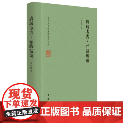 唐城考古·丝路玻璃(中央文史研究馆馆员文丛)9787101164862 中华书局 安家瑶 著 2024-09