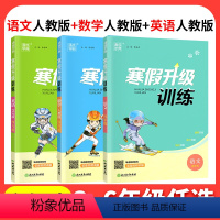 ❤❤❤[3本]语文+数学+英语人教版 小学三年级 [正版]2024寒假升级训练一二三年级四年级五年级六年级上册下册语文数